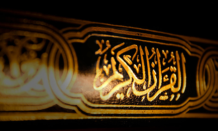 نقرتين لعرض الصورة في صفحة مستقلة